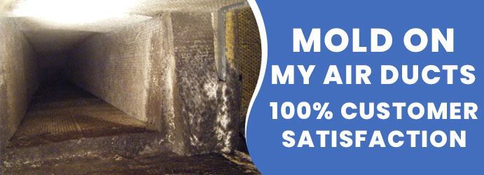 How to Remove Mold From Air Ducts