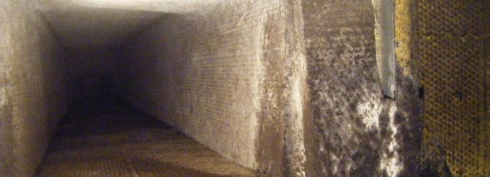 Mould Growth Inside The Ducts in Melbourne